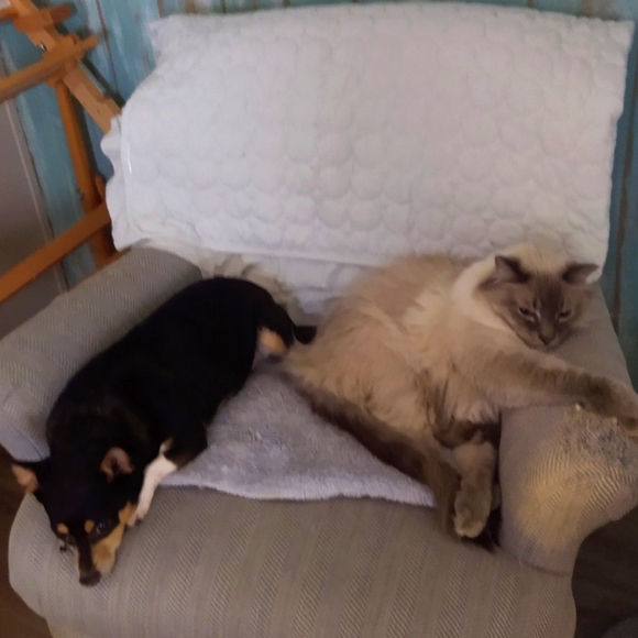 Meet your Posher, Julie - Picture 10 of 12